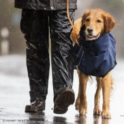 ActionFactory Fit4dogs Active Cape Wind & Rain 14 ActionFactory Fit4dogs Active Cape Wind & Rain -Hundefutter Welt Verkaufsgeschäft fit4dogs active cape wind rain 1651739976