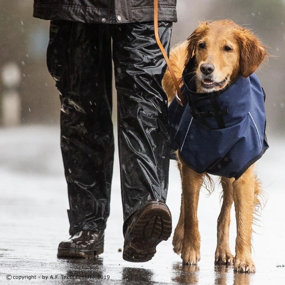 ActionFactory Fit4dogs Active Cape Wind & Rain 7 ActionFactory Fit4dogs Active Cape Wind & Rain – Bild 5