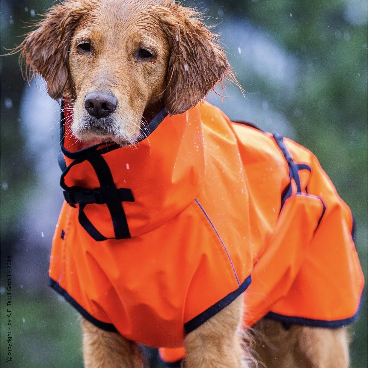 ActionFactory Fit4dogs Active Cape Wind & Rain Mini 5 ActionFactory Fit4dogs Active Cape Wind & Rain Mini – Bild 3