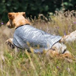 ActionFactory Fit4dogs Cooldown Cape Für Hunde -Hundefutter Welt Verkaufsgeschäft fit4dogs cooldown cape fuer hunde 1574257313