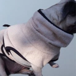 ActionFactory Fit4dogs DryUp Cape Trockenmantel Für Mops Und Co 15 ActionFactory Fit4dogs DryUp Cape Trockenmantel Für Mops Und Co -Hundefutter Welt Verkaufsgeschäft fit4dogs dryup cape fuer mops und co 1574254838