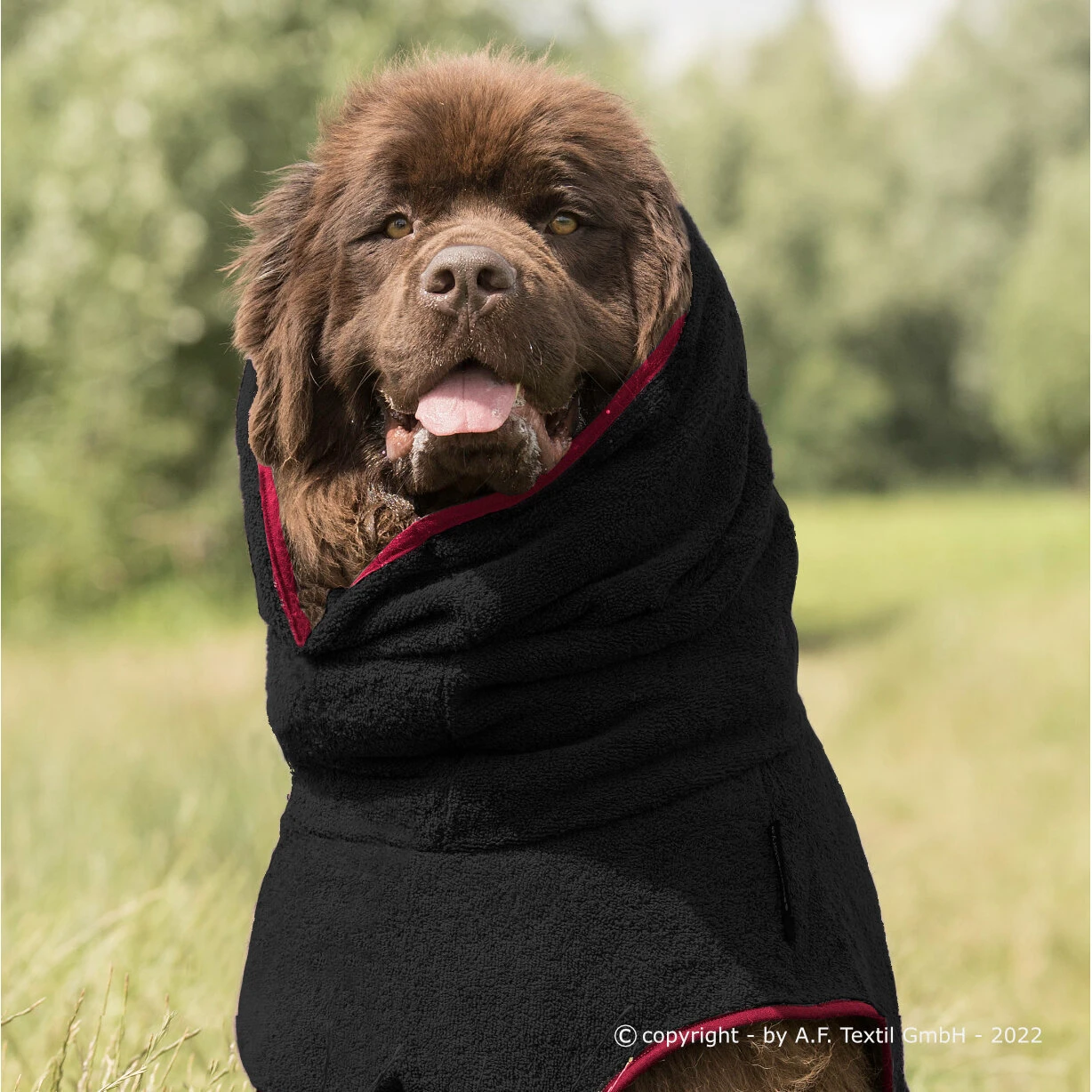 ActionFactory Fit4dogs Dryup Cape Maxi Trockenmantel 10 ActionFactory Fit4dogs Dryup Cape Maxi Trockenmantel – Bild 8