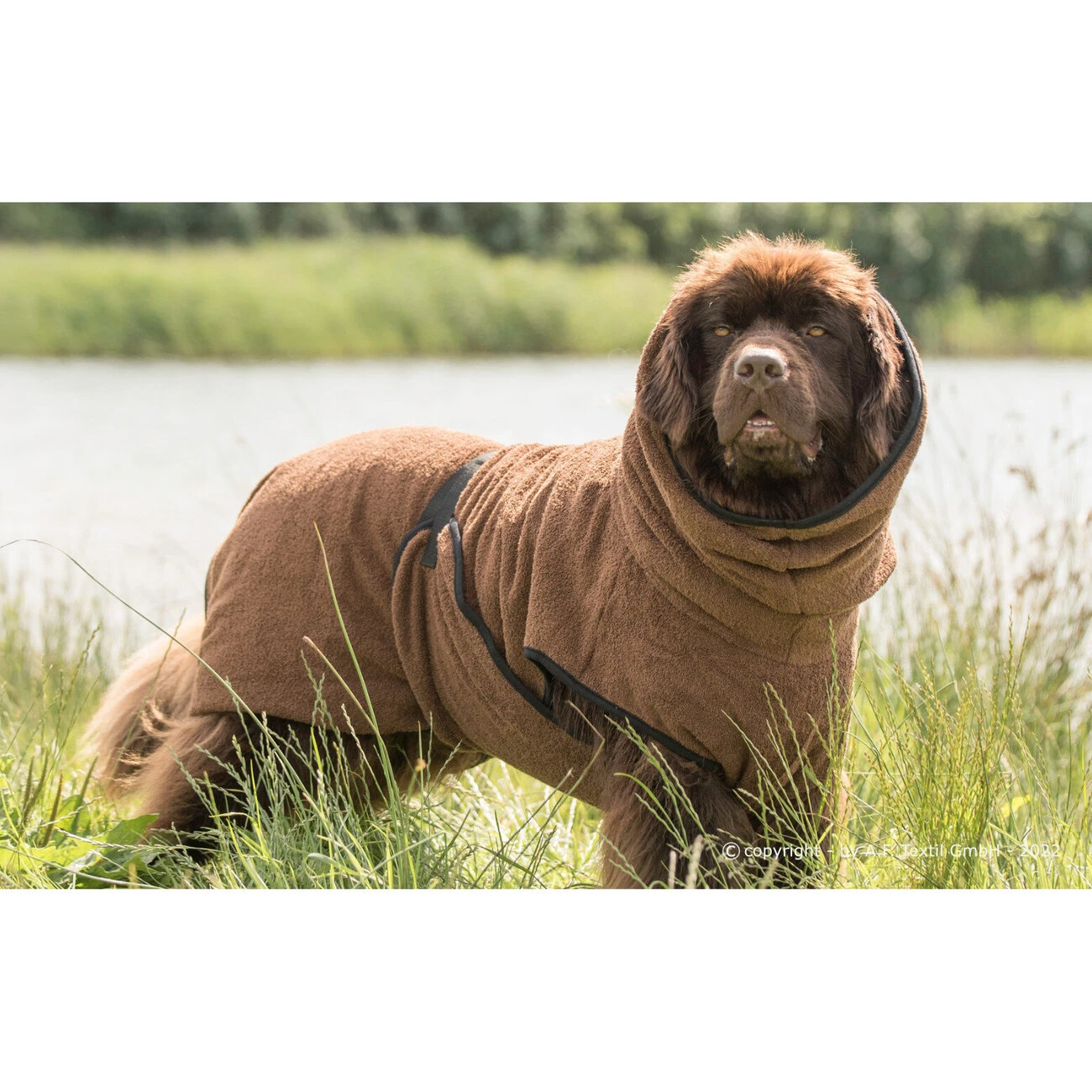 ActionFactory Fit4dogs Dryup Cape Maxi Trockenmantel 4 ActionFactory Fit4dogs Dryup Cape Maxi Trockenmantel – Bild 2