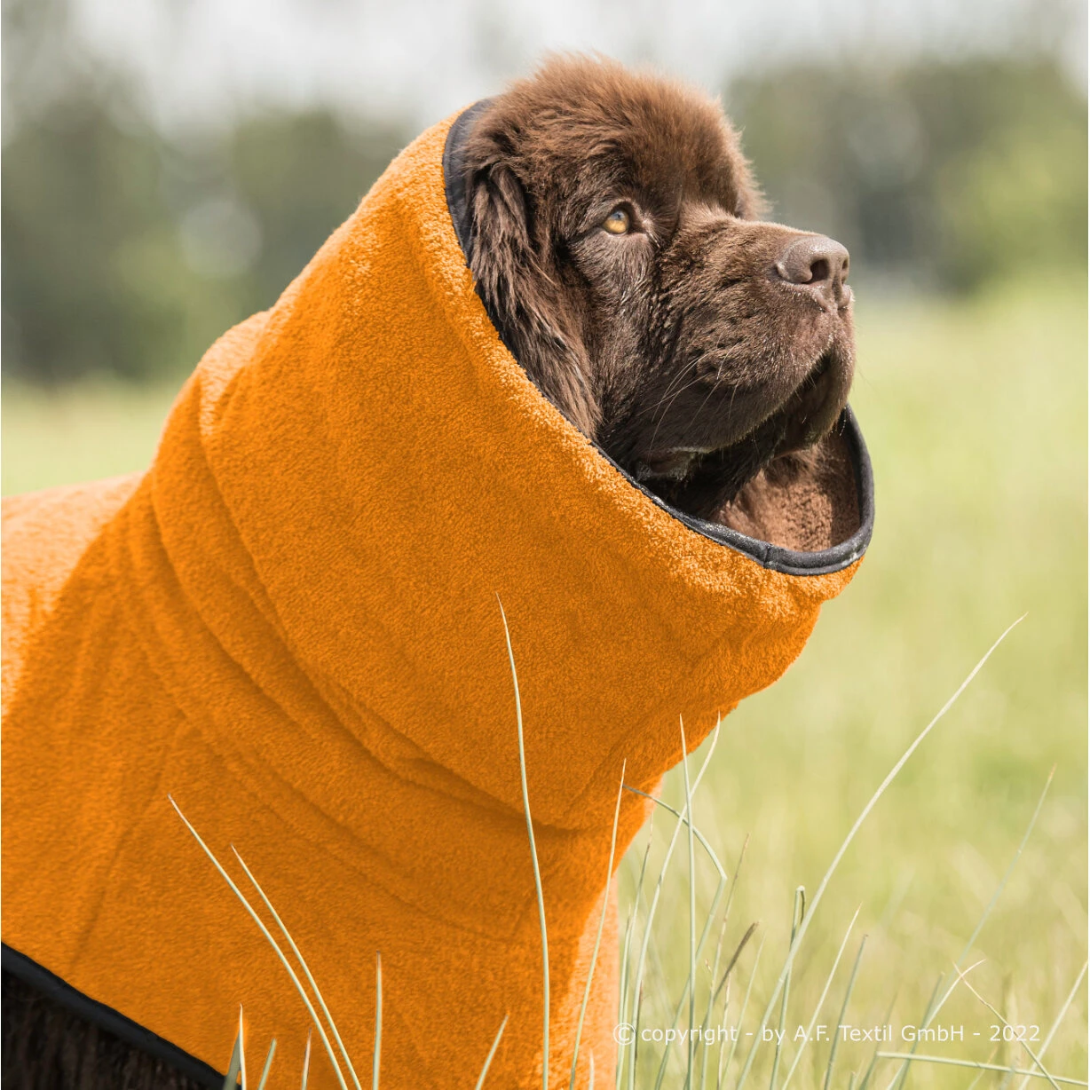 ActionFactory Fit4dogs Dryup Cape Maxi Trockenmantel 8 ActionFactory Fit4dogs Dryup Cape Maxi Trockenmantel – Bild 6