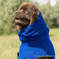 ActionFactory Fit4dogs Dryup Cape Maxi Trockenmantel 16 ActionFactory Fit4dogs Dryup Cape Maxi Trockenmantel -Hundefutter Welt Verkaufsgeschäft fit4dogs dryup cape maxi trockenmantel 1651827976