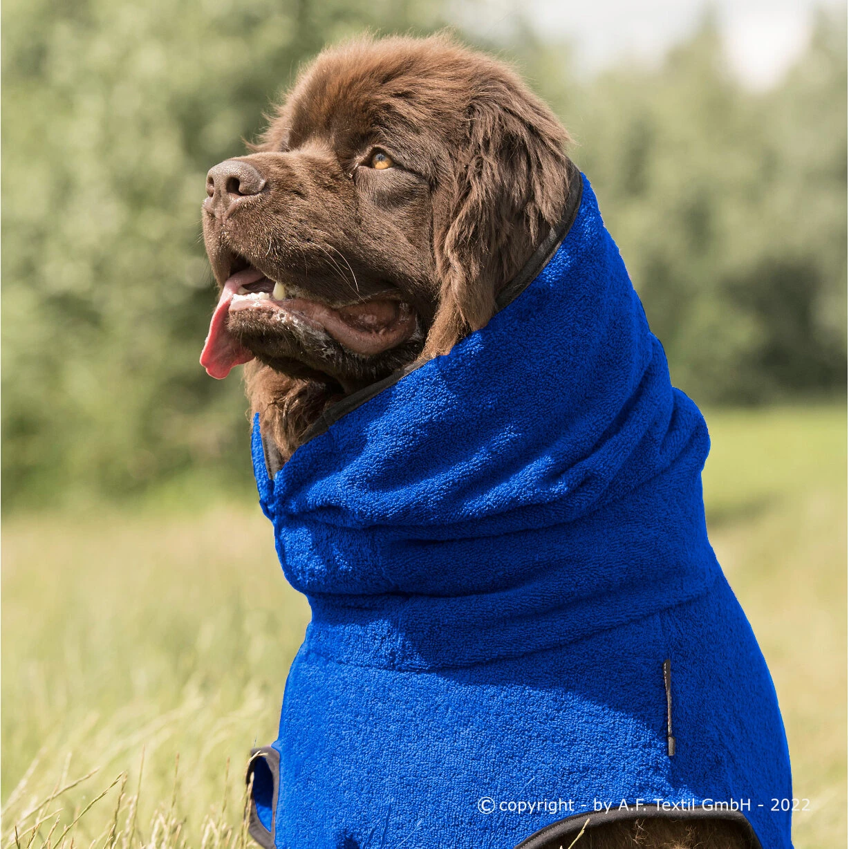 ActionFactory Fit4dogs Dryup Cape Maxi Trockenmantel 9 ActionFactory Fit4dogs Dryup Cape Maxi Trockenmantel – Bild 7