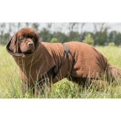 ActionFactory Fit4dogs Dryup Cape Maxi Trockenmantel 14 ActionFactory Fit4dogs Dryup Cape Maxi Trockenmantel -Hundefutter Welt Verkaufsgeschäft fit4dogs dryup cape maxi trockenmantel 1651828000