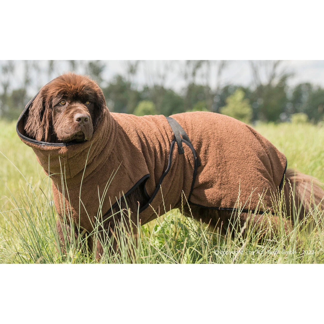 ActionFactory Fit4dogs Dryup Cape Maxi Trockenmantel 7 ActionFactory Fit4dogs Dryup Cape Maxi Trockenmantel – Bild 5
