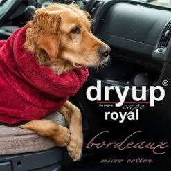 ActionFactory Fit4dogs DryUp Cape Royal - Premium Trockenmantel Für Hunde -Hundefutter Welt Verkaufsgeschäft fit4dogs dryup cape royal premium trockenmantel fuer hunde 1588858814