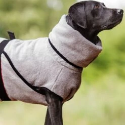 ActionFactory Fit4dogs DryUp Cape Royal - Premium Trockenmantel Für Hunde