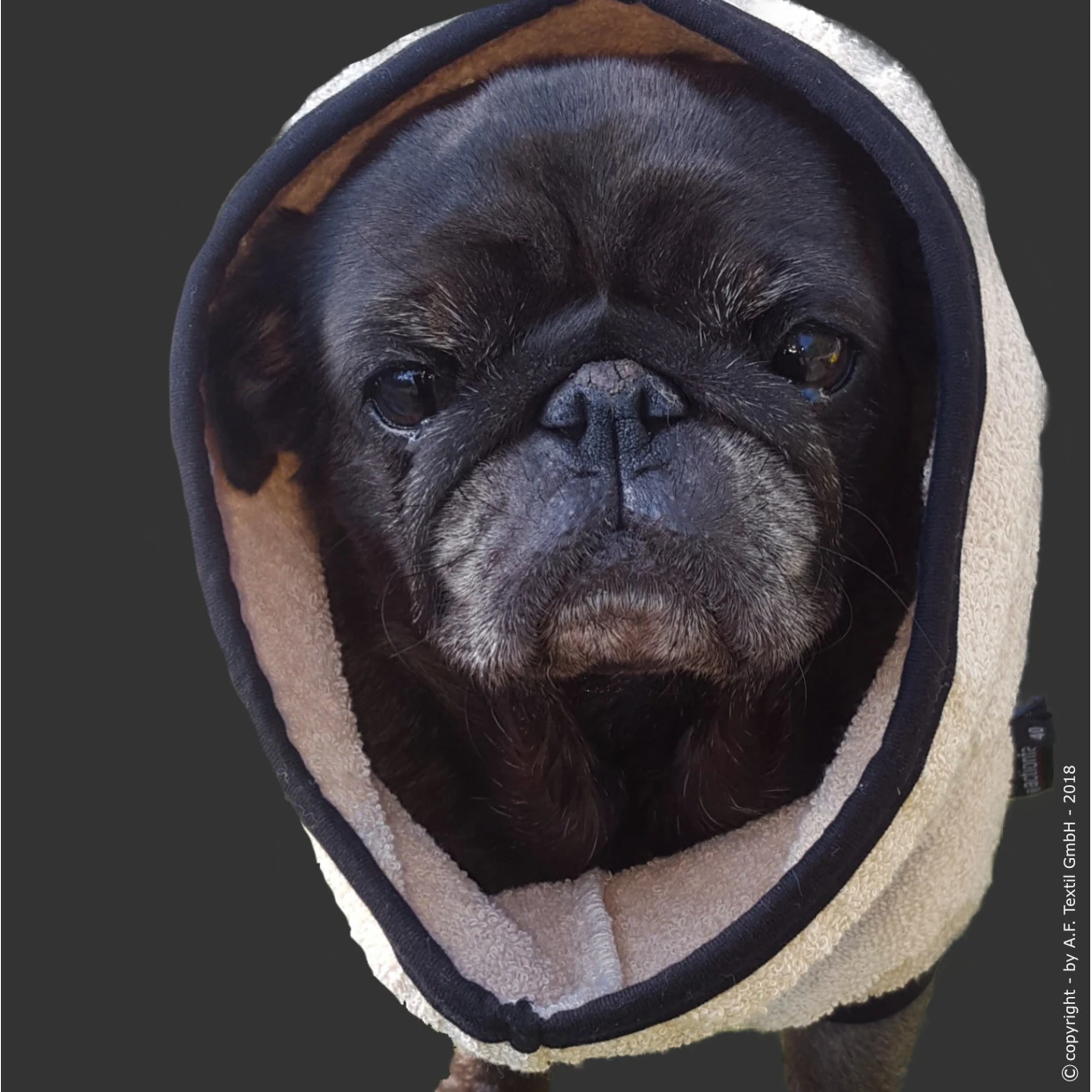 ActionFactory Fit4dogs DryUp Cape Trockenmantel Für Mops Und Co 6 ActionFactory Fit4dogs DryUp Cape Trockenmantel Für Mops Und Co – Bild 4