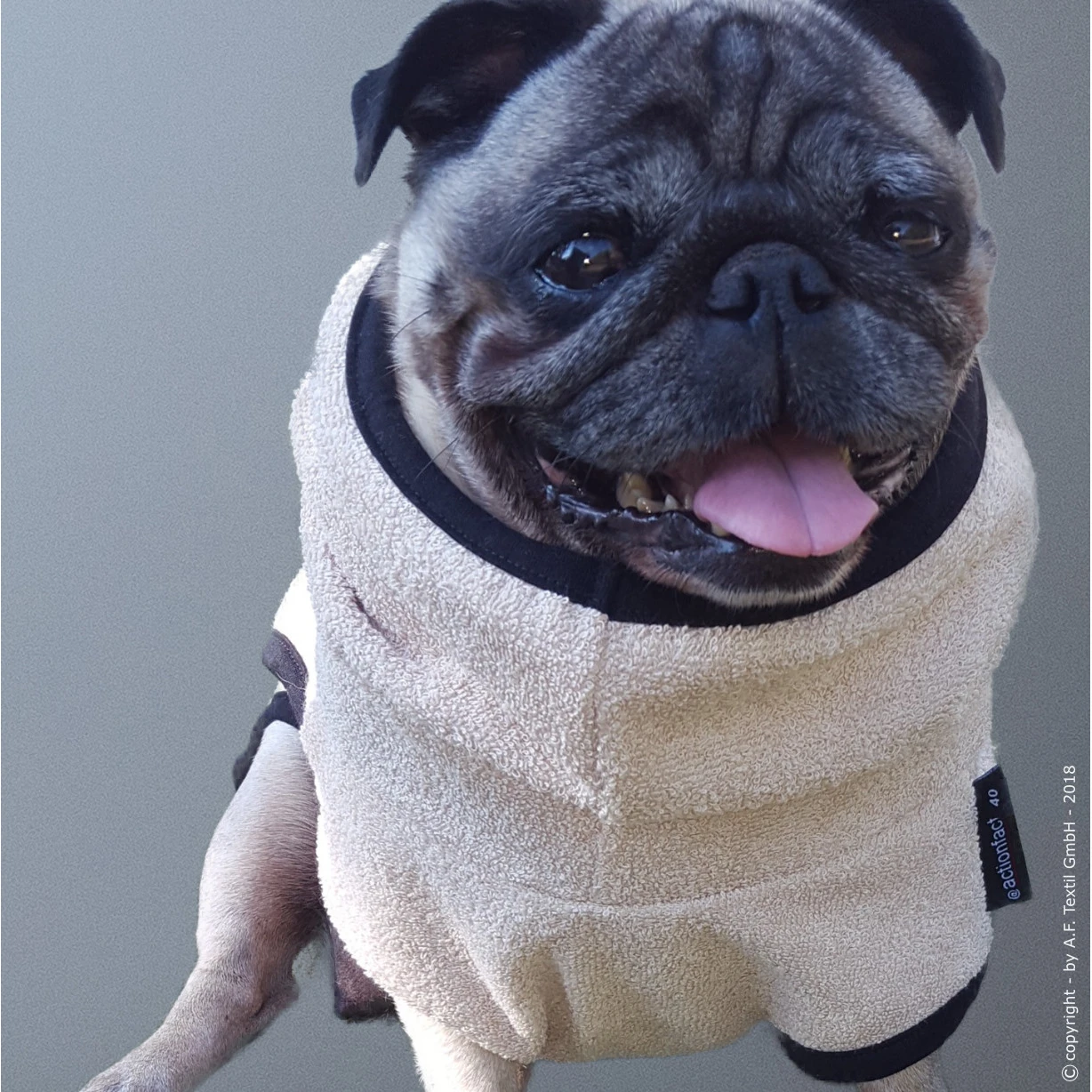 ActionFactory Fit4dogs DryUp Cape Trockenmantel Für Mops Und Co 5 ActionFactory Fit4dogs DryUp Cape Trockenmantel Für Mops Und Co – Bild 3