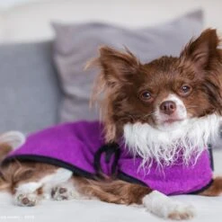 ActionFactory Fit4dogs Dryup Mini Trockenmantel Für Hunde -Hundefutter Welt Verkaufsgeschäft fit4dogs dryup mini trockenmantel fuer hunde 1574247334