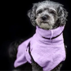 ActionFactory Fit4dogs Dryup Mini Trockenmantel Für Hunde -Hundefutter Welt Verkaufsgeschäft fit4dogs dryup mini trockenmantel fuer hunde 1649860886