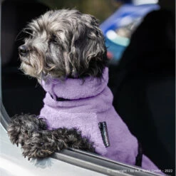 ActionFactory Fit4dogs Dryup Mini Trockenmantel Für Hunde -Hundefutter Welt Verkaufsgeschäft fit4dogs dryup mini trockenmantel fuer hunde 1649860888