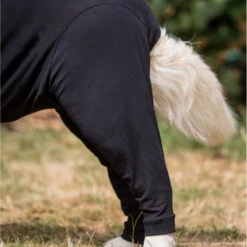 ActionFactory Fit4dogs Medi Cape Wundschutz-Overall -Hundefutter Welt Verkaufsgeschäft fit4dogs medi cape wundschutz overall 1651740608