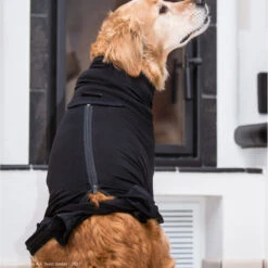 ActionFactory Fit4dogs Medi Cape Wundschutz-Overall -Hundefutter Welt Verkaufsgeschäft fit4dogs medi cape wundschutz overall 1651740611