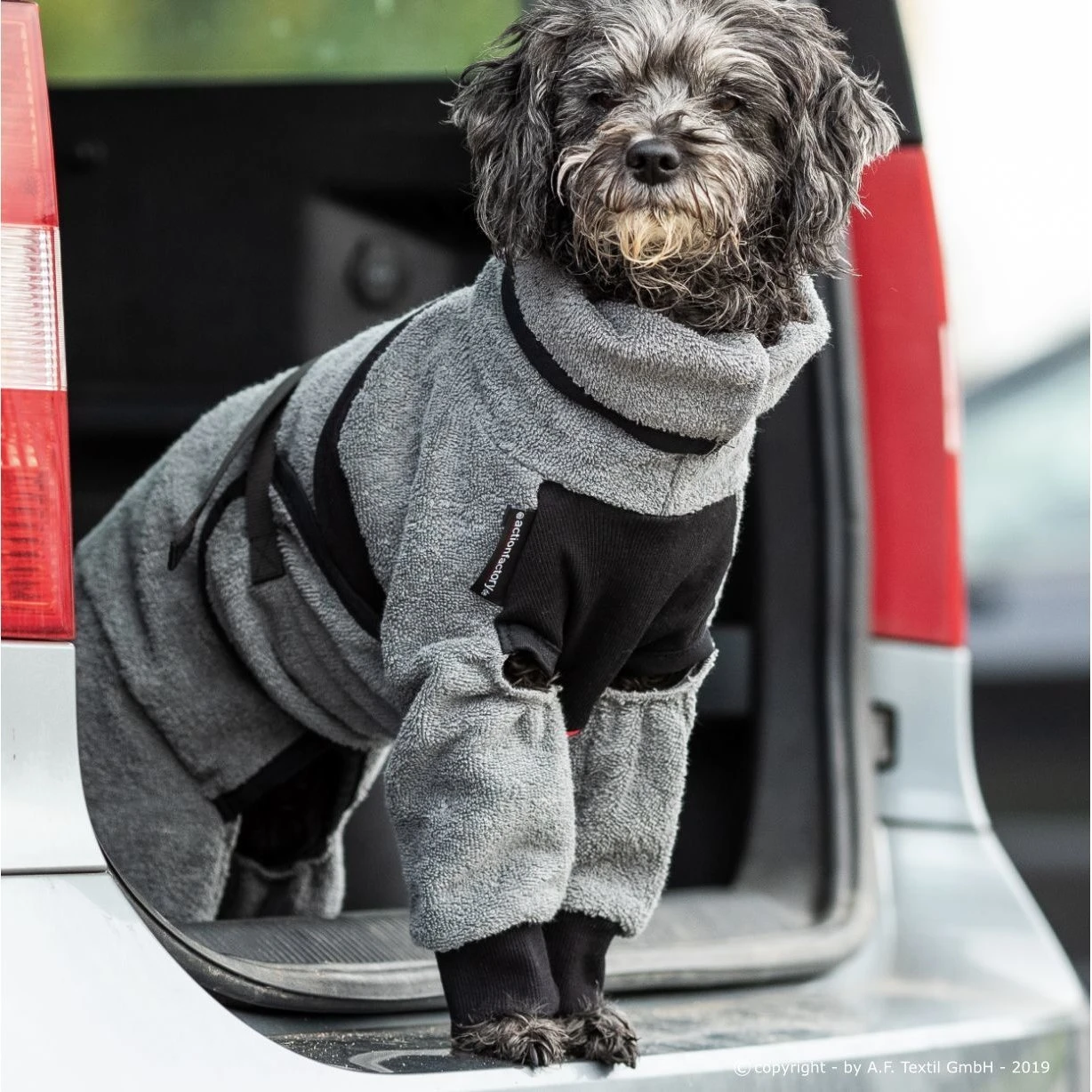 ActionFactory Fit4dogs Mini Dryup Body Zip.fit Hundemantel Trockenbody 15 ActionFactory Fit4dogs Mini Dryup Body Zip.fit Hundemantel Trockenbody – Bild 13