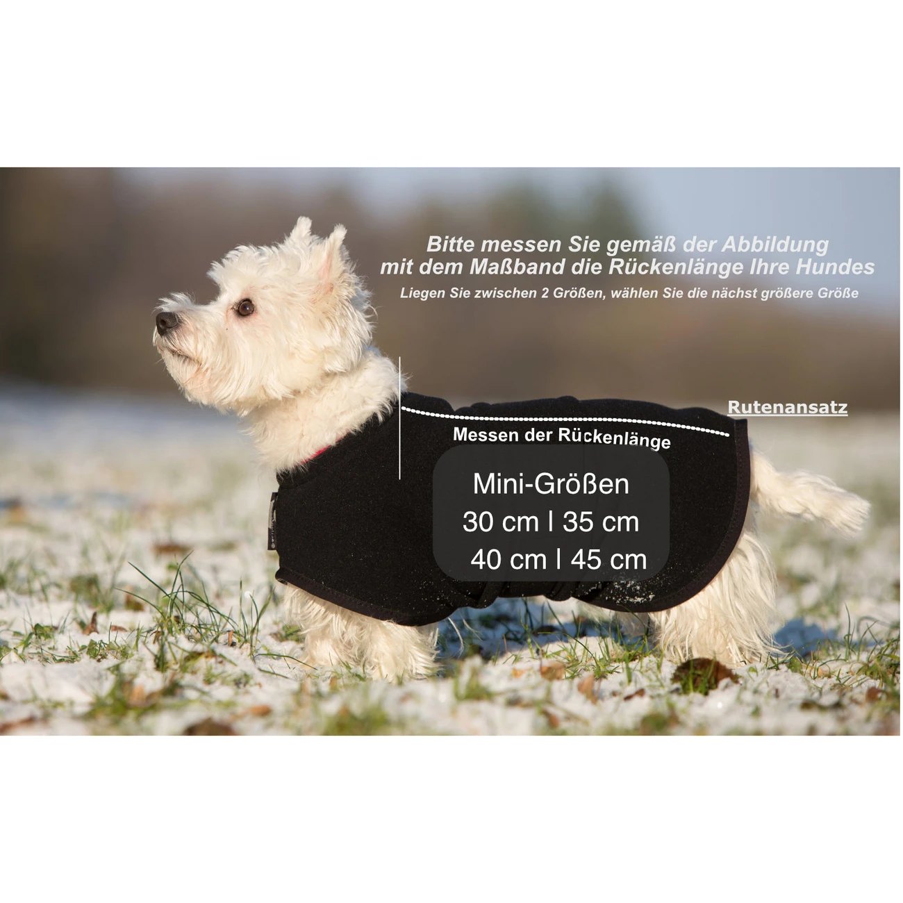 ActionFactory Fit4dogs Warmup Cape Mini Classic Wende-Hundemantel 8 ActionFactory Fit4dogs Warmup Cape Mini Classic Wende-Hundemantel – Bild 6