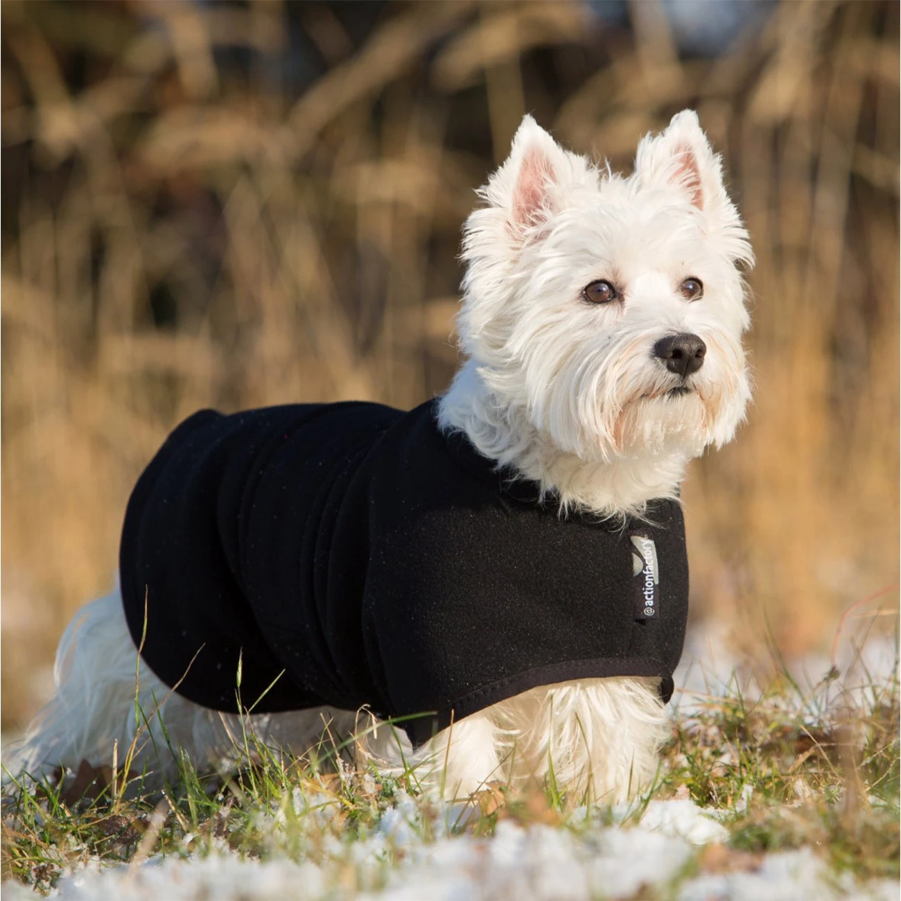 ActionFactory Fit4dogs Warmup Cape Mini Classic Wende-Hundemantel 4 ActionFactory Fit4dogs Warmup Cape Mini Classic Wende-Hundemantel – Bild 2