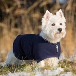 ActionFactory Fit4dogs Warmup Cape Mini Classic Wende-Hundemantel 10 ActionFactory Fit4dogs Warmup Cape Mini Classic Wende-Hundemantel -Hundefutter Welt Verkaufsgeschäft fit4dogs warmup cape mini classic wende hundemantel 1574259813