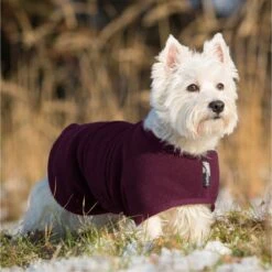 ActionFactory Fit4dogs Warmup Cape Mini Classic Wende-Hundemantel 11 ActionFactory Fit4dogs Warmup Cape Mini Classic Wende-Hundemantel -Hundefutter Welt Verkaufsgeschäft fit4dogs warmup cape mini classic wende hundemantel 1574259820