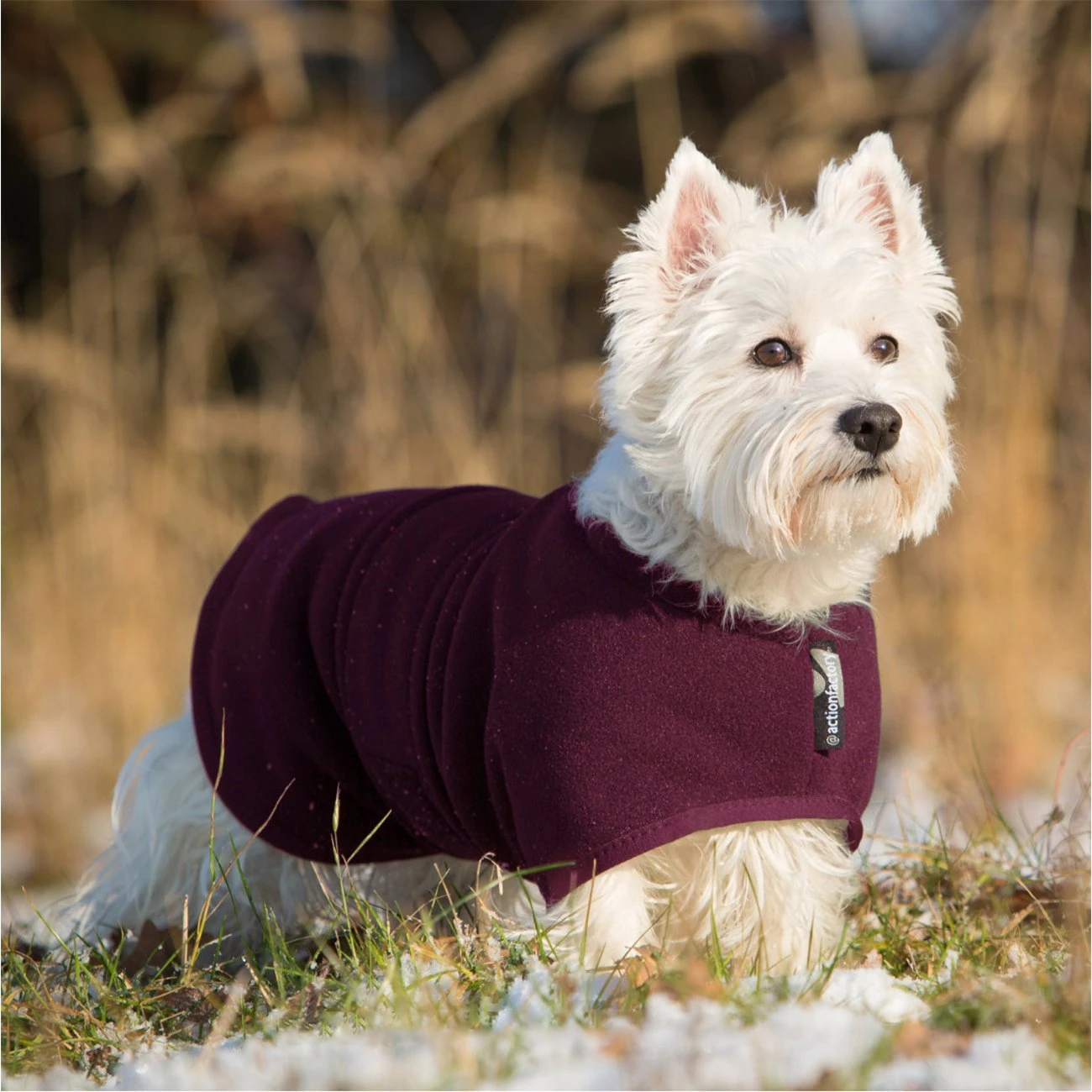 ActionFactory Fit4dogs Warmup Cape Mini Classic Wende-Hundemantel 6 ActionFactory Fit4dogs Warmup Cape Mini Classic Wende-Hundemantel – Bild 4