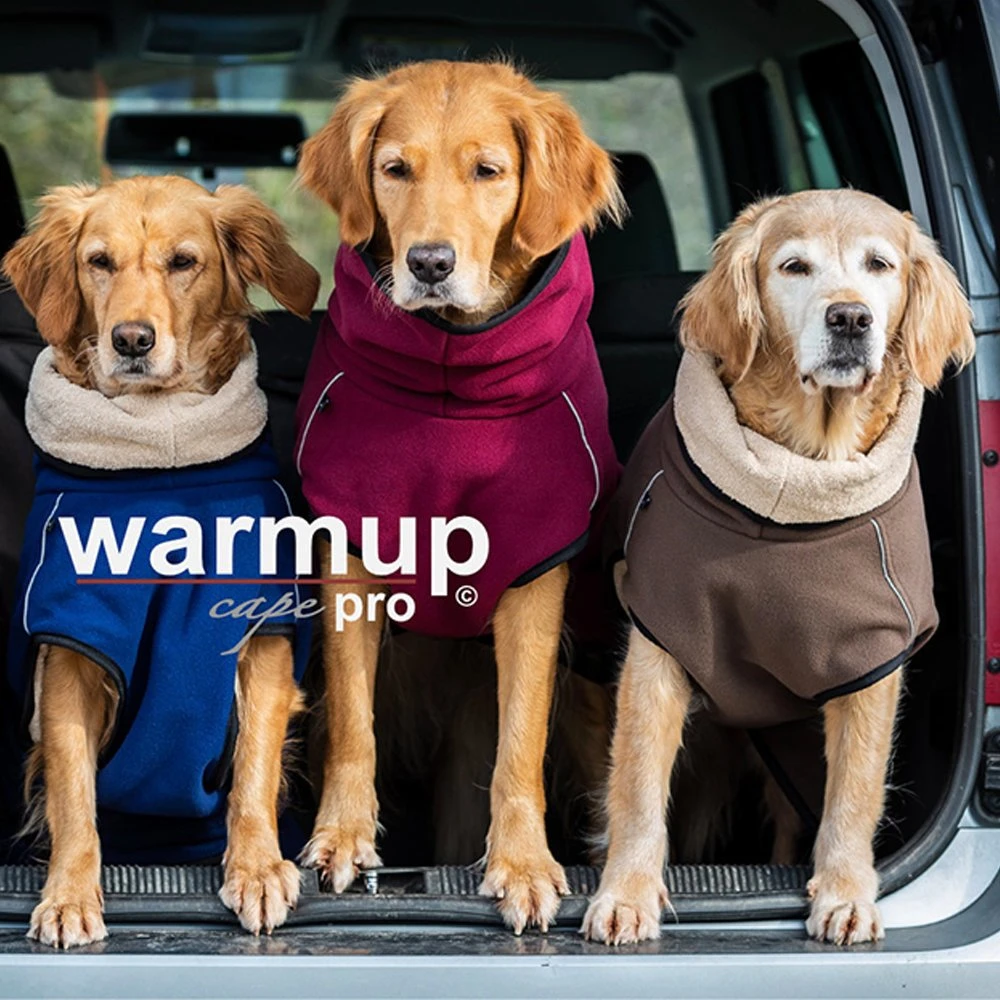 ActionFactory Fit4dogs Warmup Cape Pro 15 ActionFactory Fit4dogs Warmup Cape Pro – Bild 13