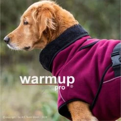 ActionFactory Fit4dogs Warmup Cape Pro 26 ActionFactory Fit4dogs Warmup Cape Pro -Hundefutter Welt Verkaufsgeschäft fit4dogs warmup cape pro 1589885793