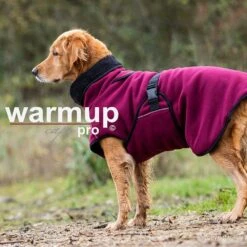 ActionFactory Fit4dogs Warmup Cape Pro 27 ActionFactory Fit4dogs Warmup Cape Pro -Hundefutter Welt Verkaufsgeschäft fit4dogs warmup cape pro 1589885796