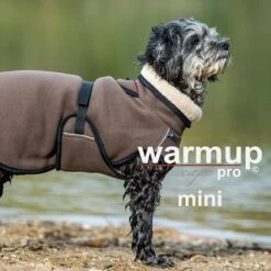 ActionFactory Fit4dogs Warmup Cape Pro Mini -Hundefutter Welt Verkaufsgeschäft fit4dogs warmup cape pro mini 1589889463