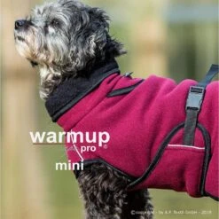 ActionFactory Fit4dogs Warmup Cape Pro Mini -Hundefutter Welt Verkaufsgeschäft fit4dogs warmup cape pro mini 1589889466