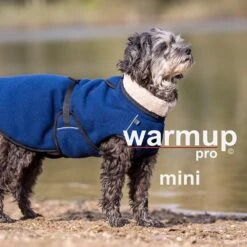 ActionFactory Fit4dogs Warmup Cape Pro Mini -Hundefutter Welt Verkaufsgeschäft fit4dogs warmup cape pro mini 1589889480