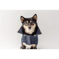 GF Pet Denim Hundejacke -Hundefutter Welt Verkaufsgeschäft gf pet denim hundejacke 1570717663