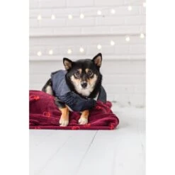 GF Pet Denim Hundejacke -Hundefutter Welt Verkaufsgeschäft gf pet denim hundejacke 1570717707
