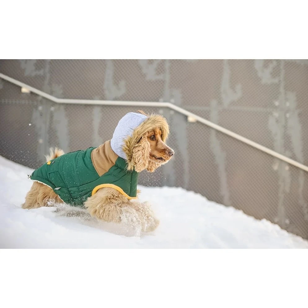 GF Pet Hundeparka Lodge 12 GF Pet Hundeparka Lodge – Bild 10