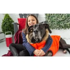 GF Pet Hundeparka Lodge 27 GF Pet Hundeparka Lodge -Hundefutter Welt Verkaufsgeschäft gf pet hundeparka lodge 1570634587