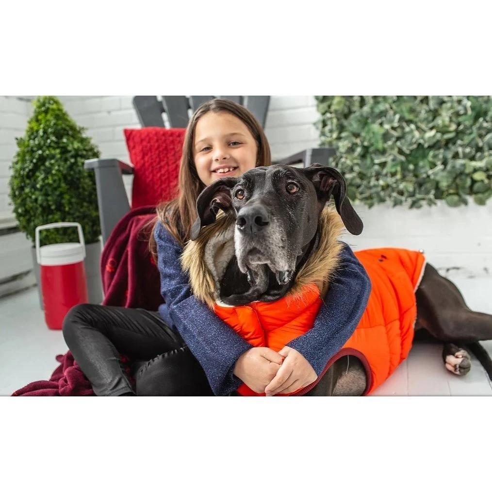 GF Pet Hundeparka Lodge 14 GF Pet Hundeparka Lodge – Bild 12