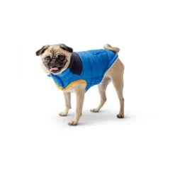 GF Pet Scout Jacke Für Hunde -Hundefutter Welt Verkaufsgeschäft gf pet scout jacke fuer hunde 1570713851