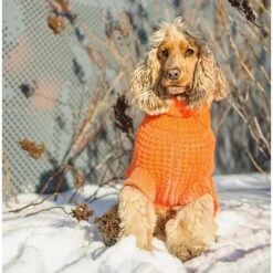 GF Pet Scout Sweater Für Hunde -Hundefutter Welt Verkaufsgeschäft gf pet scout sweater fuer hunde 1570790822