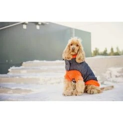 GF Pet Scout Sweater Für Hunde -Hundefutter Welt Verkaufsgeschäft gf pet scout sweater fuer hunde 1570790824