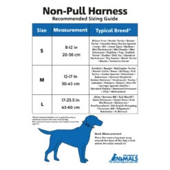 Company Of Animals HALTI No-Pull Geschirr 21 Company Of Animals HALTI No-Pull Geschirr -Hundefutter Welt Verkaufsgeschäft halti no pull geschirr 1559809618