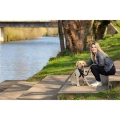 Company Of Animals HALTI No-Pull Geschirr 22 Company Of Animals HALTI No-Pull Geschirr -Hundefutter Welt Verkaufsgeschäft halti no pull geschirr 1559809622