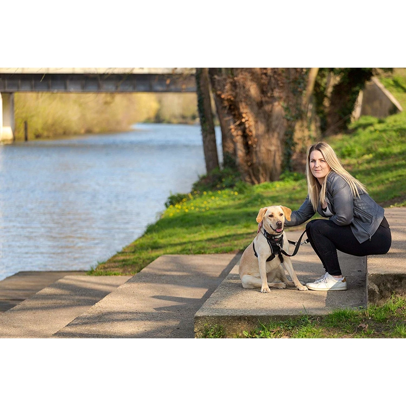 Company Of Animals HALTI No-Pull Geschirr 11 Company Of Animals HALTI No-Pull Geschirr – Bild 9