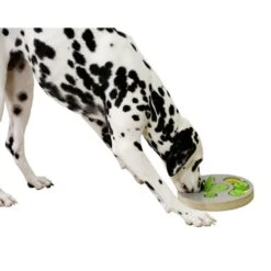 Kerbl Hunde Denk- Und Lernspielzeug Face 9 Kerbl Hunde Denk- Und Lernspielzeug Face -Hundefutter Welt Verkaufsgeschäft hunde denk und lernspielzeug face 1566985886