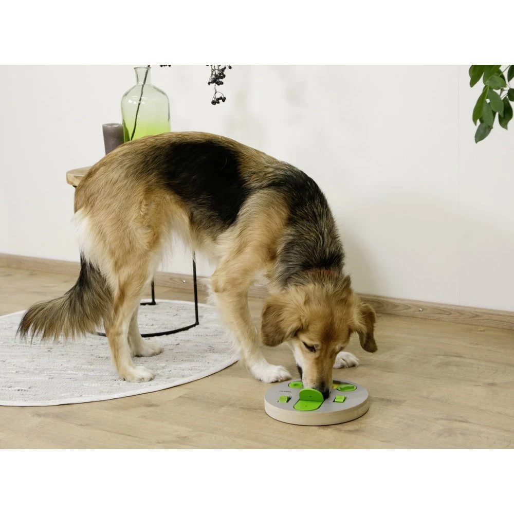 Kerbl Hunde Denk- Und Lernspielzeug Face 4 Kerbl Hunde Denk- Und Lernspielzeug Face – Bild 2