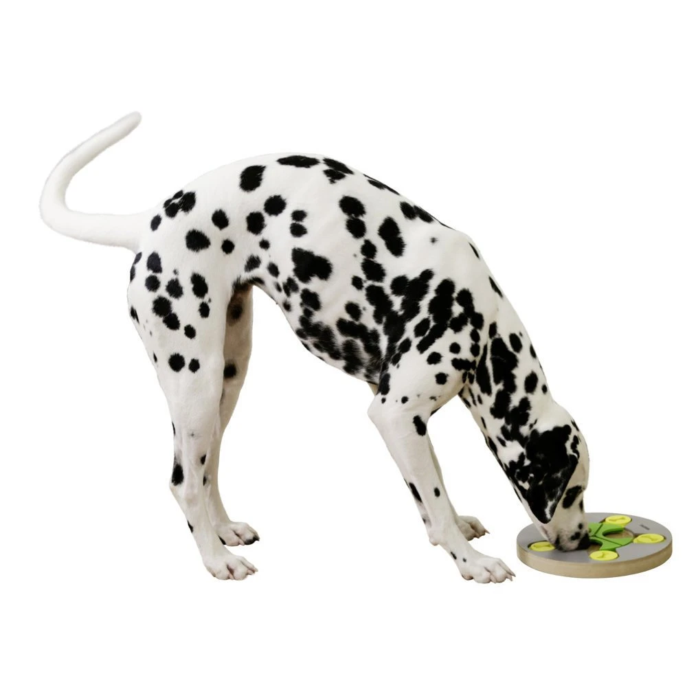 Kerbl Hunde Denk- Und Lernspielzeug Switch 4 Kerbl Hunde Denk- Und Lernspielzeug Switch – Bild 2