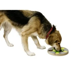 Kerbl Hunde Denk- Und Lernspielzeug Switch 7 Kerbl Hunde Denk- Und Lernspielzeug Switch -Hundefutter Welt Verkaufsgeschäft hunde denk und lernspielzeug switch 1566984373