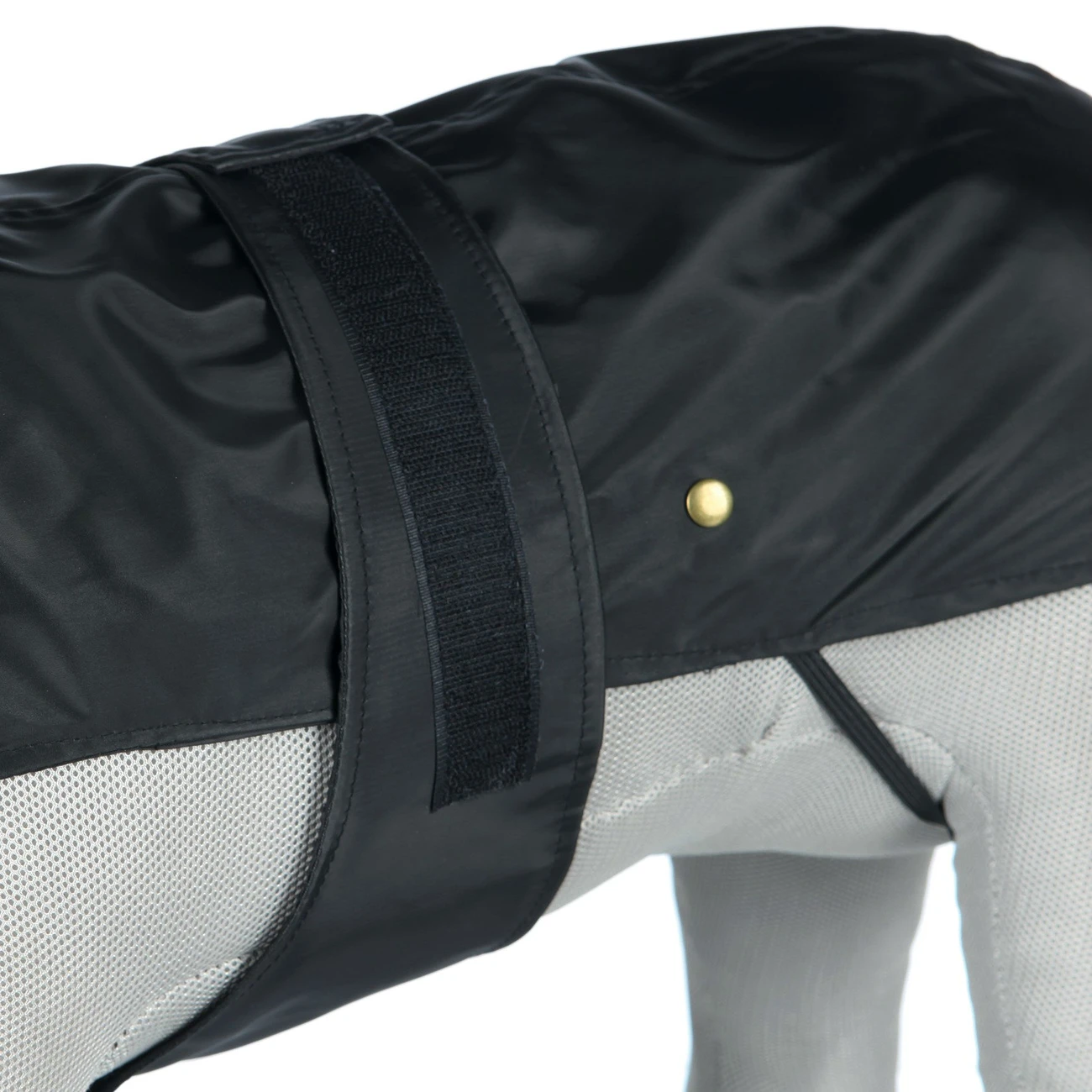 TRIXIE Hundemantel Paris 10 TRIXIE Hundemantel Paris – Bild 8