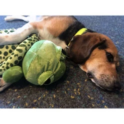 TRIXIE Hundespielzeug Plüsch Schildkröte, Original-Tierstimme XL 7 TRIXIE Hundespielzeug Plüsch Schildkröte, Original-Tierstimme XL -Hundefutter Welt Verkaufsgeschäft hundespielzeug pluesch schildkroete original tierstimme xl 1504033236